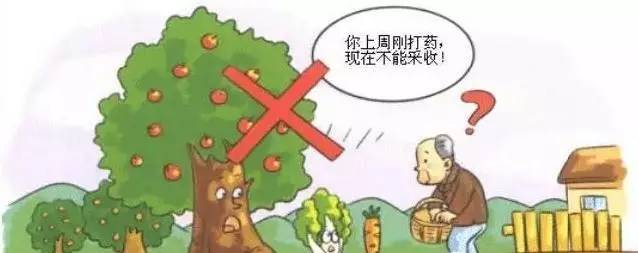  食品安全如何保證？