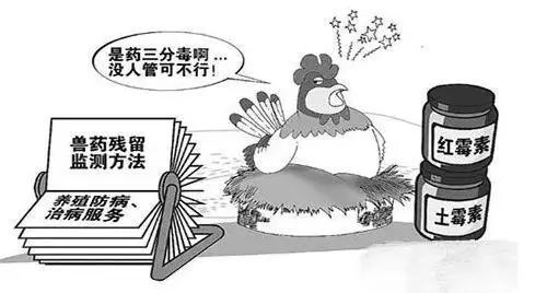 如何利用食品安全檢測(cè)儀來(lái)維護(hù)食品安全？