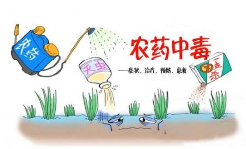 合適的蔬菜如何來選擇？